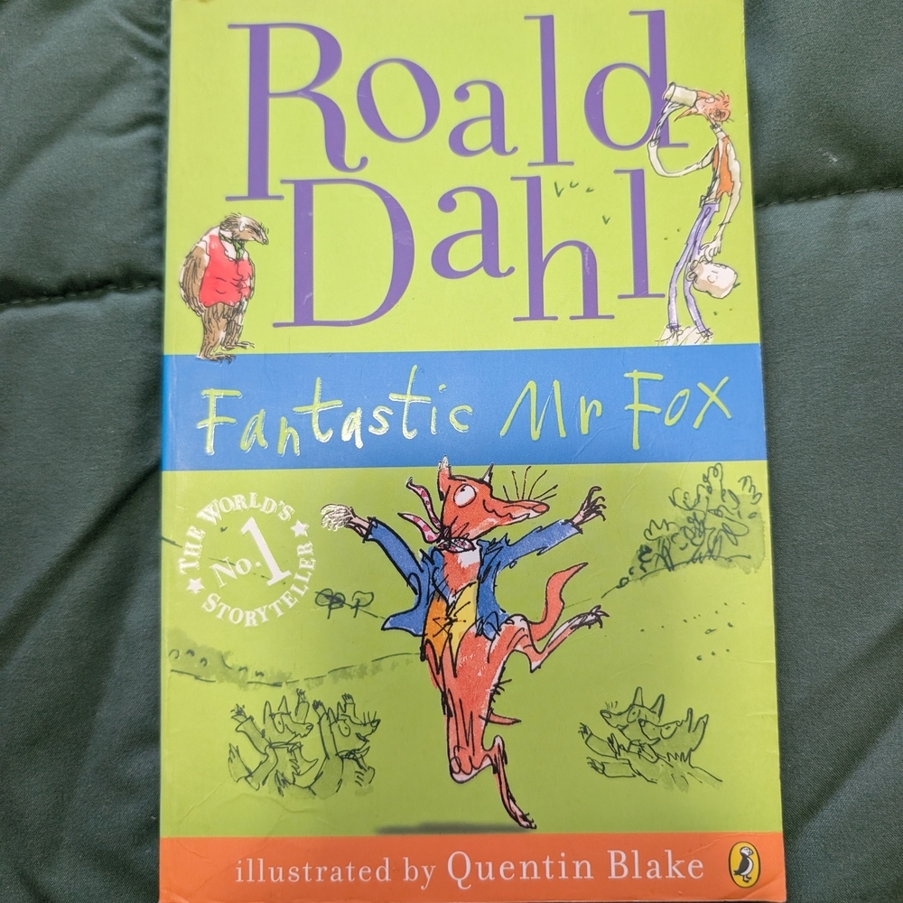 Roald Dahl Fantastic Mr Fox Book